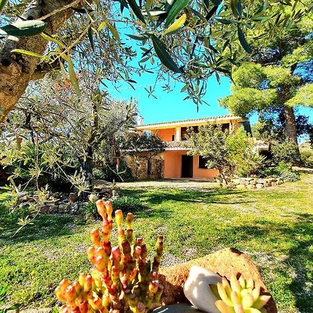 Villa Alice Apartments Orosei Exterior foto